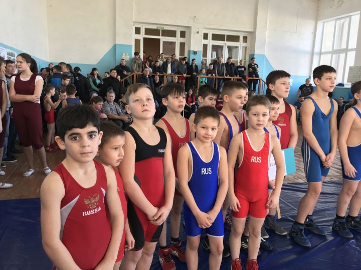 Итоги соревнований греко-римской борьбы лениногорцев