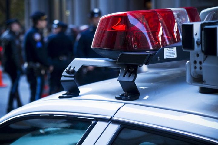 Пропавшую 28-летнюю модель нашли  в двух чемоданах