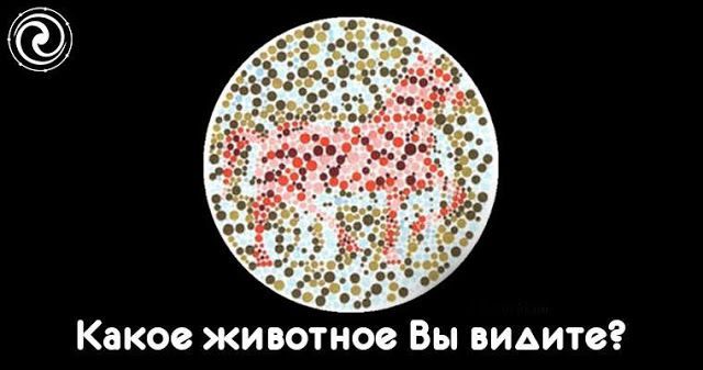 Увиденное животное раскроет вашу сущность