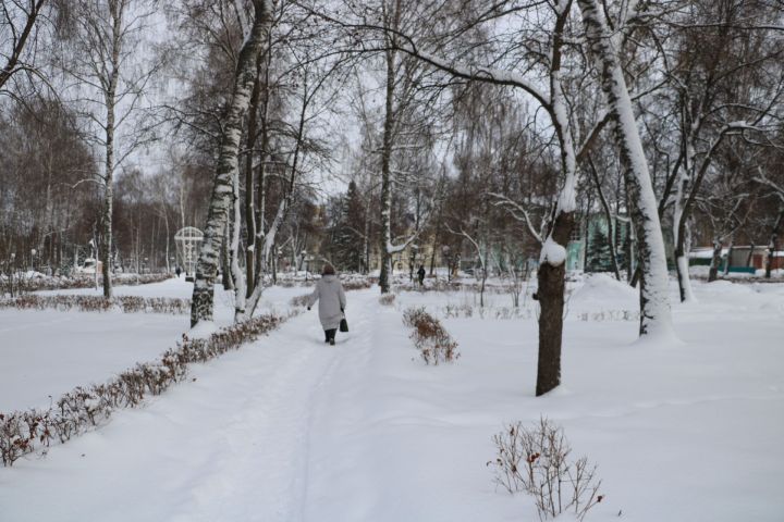 Постновогодний пейзаж