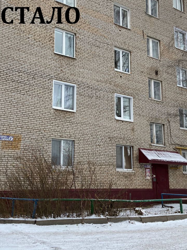 Житель Лениногорска пожаловался на растущее дерево перед собственными окнами