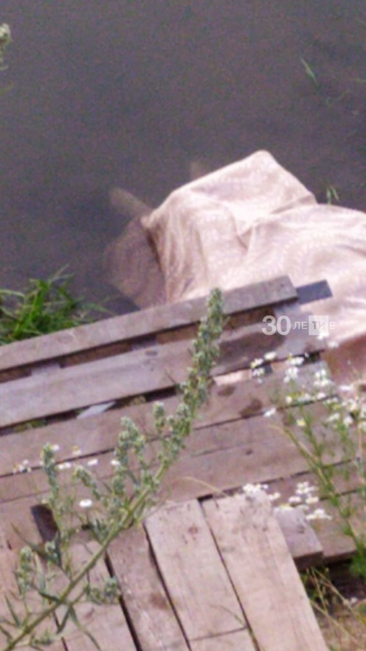 В Татарстане водолазы достали из воды тело мужчины, который утонул, спасая сына