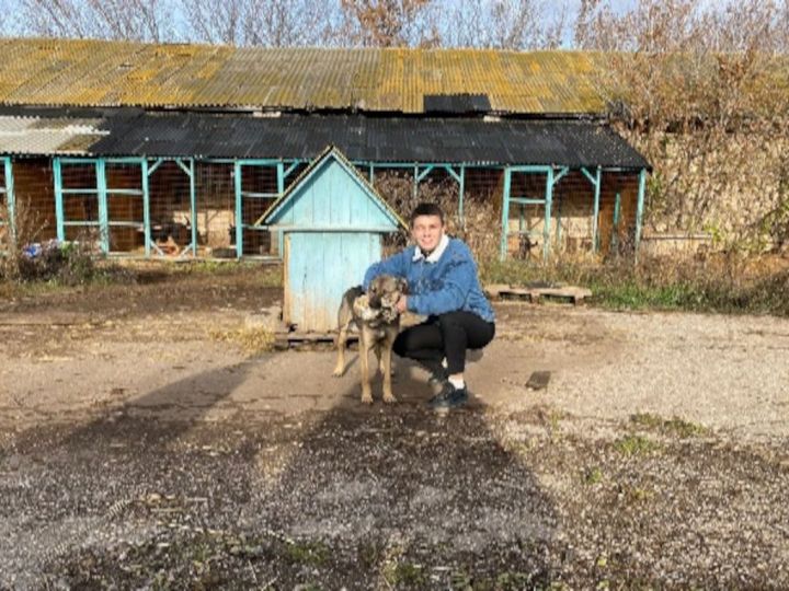 Волонтёры Лениногорского нефтяного техникума принесли корм и помогли выгулять собак из приюта