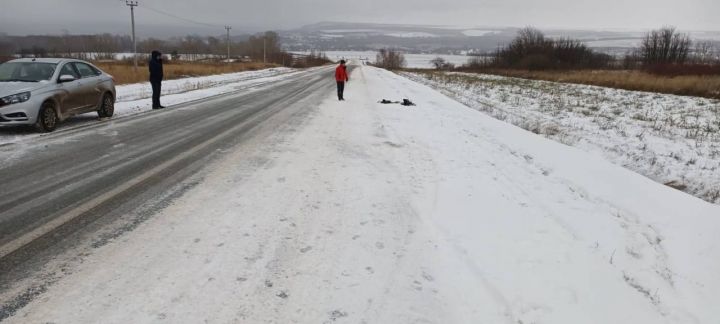 Спустя 4 дня водитель, сбивший насмерть человека в Татарстане задержан