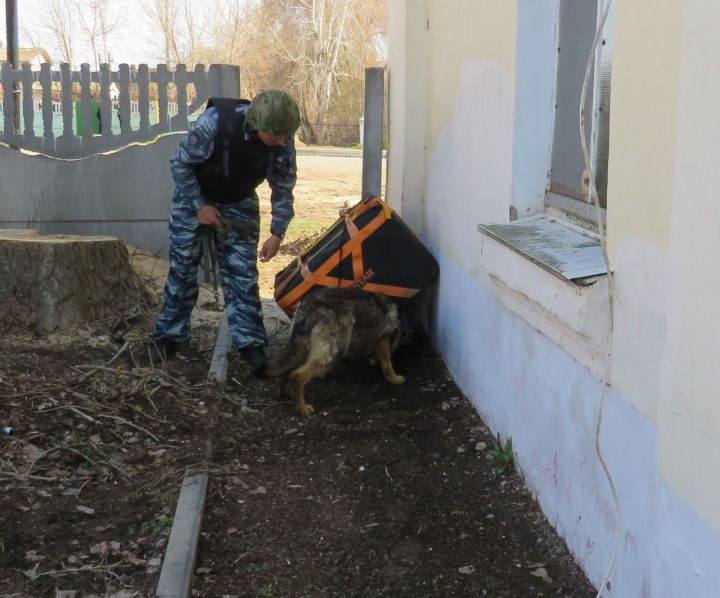 Житель Спасска сообщил в полицию об обнаружении подозрительного предмета, напоминающего взрывное устройство