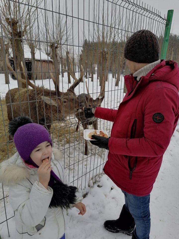 В одной из школ Лениногорска прошёл фотоконкурс о папах