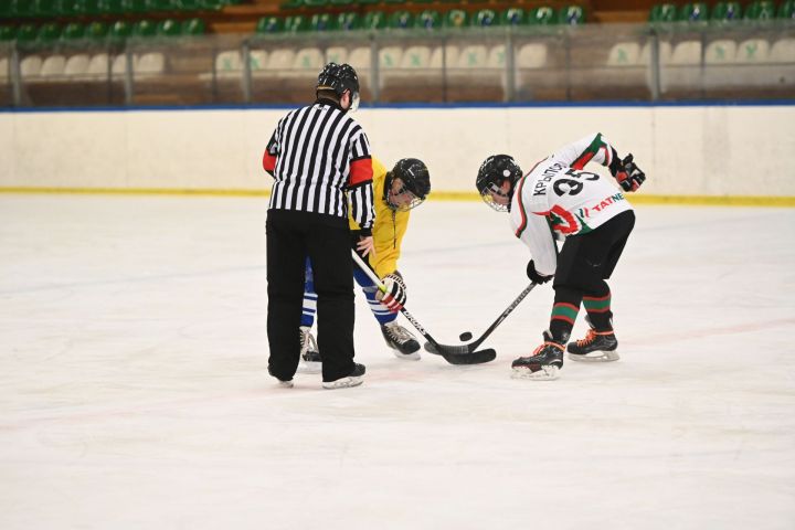 В Татарстане  турнир по хоккею «Шугалак» среди детей-сирот выявил лучших игроков