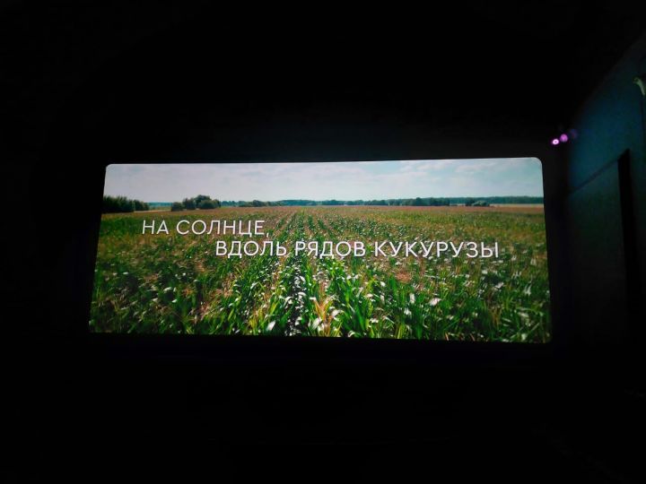Студенты Лениногорского политехнического колледжа познакомились с фильмом «На солнце, вдоль рядов кукурузы»