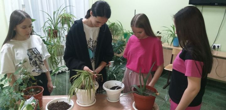 В общежитии Лениногорского нефтяного техникума студентки учились рассаживать цветы