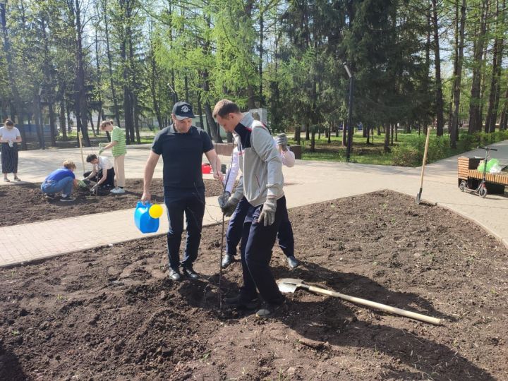 Глава Лениногорского района Рягат Хусаинов высадил в парке яблони и сакуры