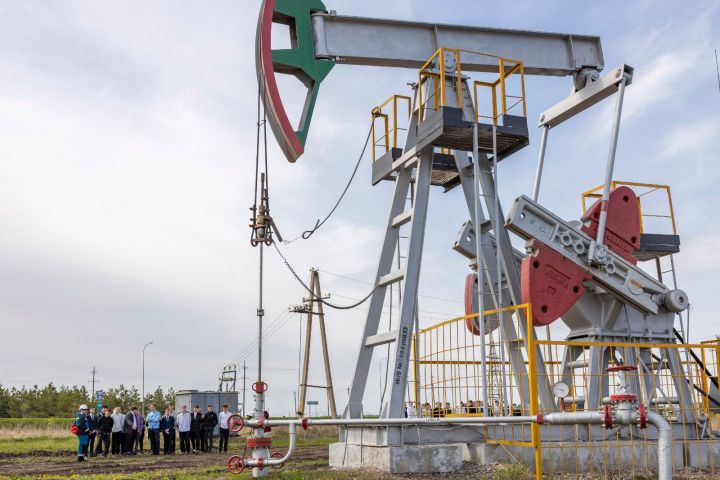 Студенты Лениногорского нефтяного техникума побывали на производственных объектах компании «Татнефть» в Лениногорском районе.
