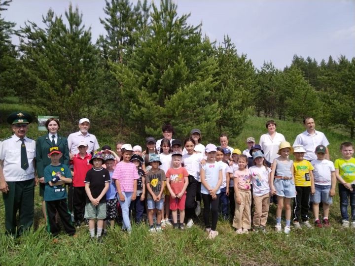 В заказнике «Степной» Лениногорского района школьники изучали редкие растения и животных