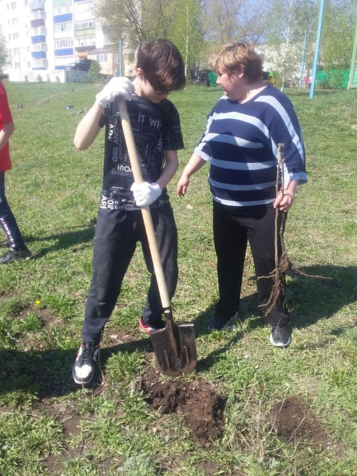 В Лениногорске активисты Центра «Логос» в рамках акции «Сад Памяти» сажали саженцы деревьев