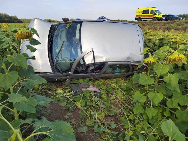 В Верхнем Услоне в аварии погибла женщина-водитель