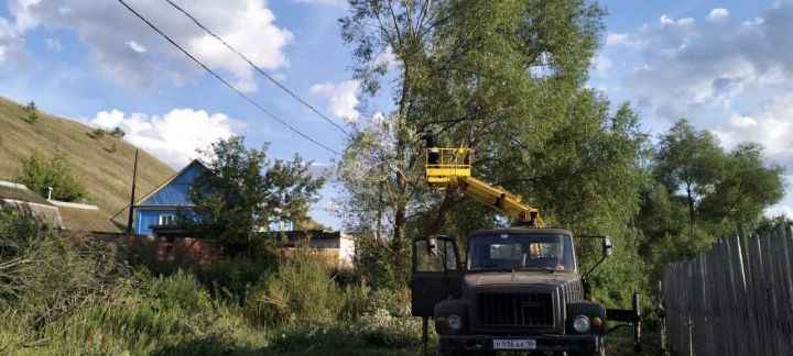 В Лениногорском районе избавились от опасных деревьев