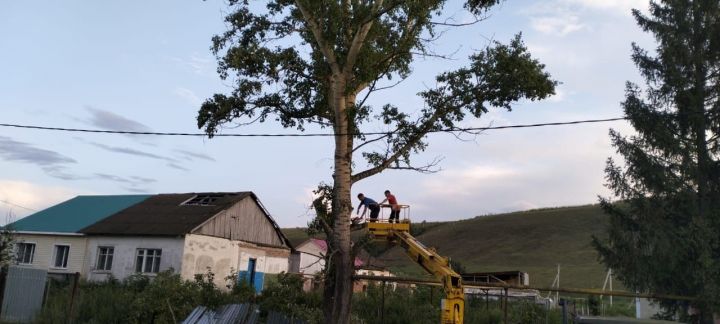 В Лениногорском районе избавились от опасных деревьев