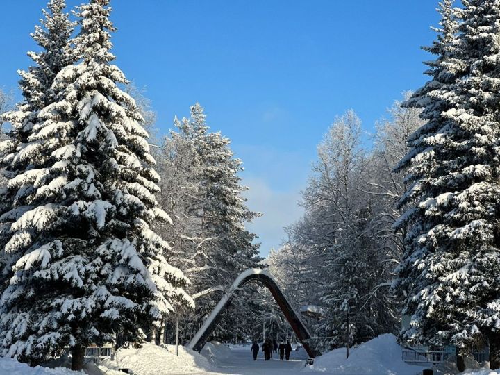 Прогноз погоды для лениногорцев на 11 января