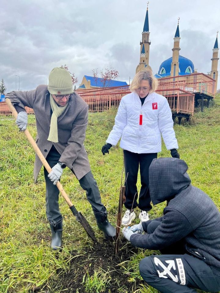 В Лениногорске происходит озеленение парков