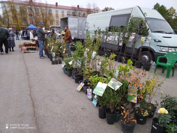 В Лениногорске на первой осенней ярмарке помощь пожилым людям оказывали волонтеры