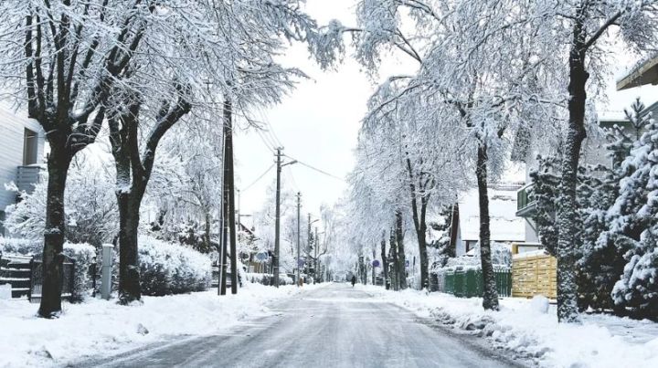 8 ноября: народные приметы для лениногорцев