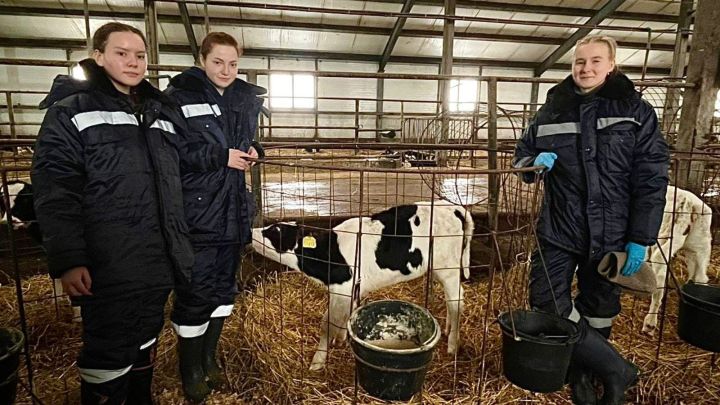 На молочном комплексе «ЯЛТАУ» Лениногорского района практиканты осваивают ветеринарию