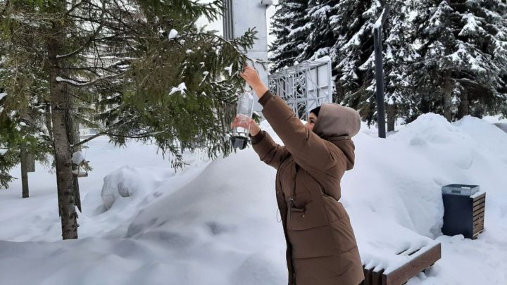 В Лениногорске прошла акция помощи птицам