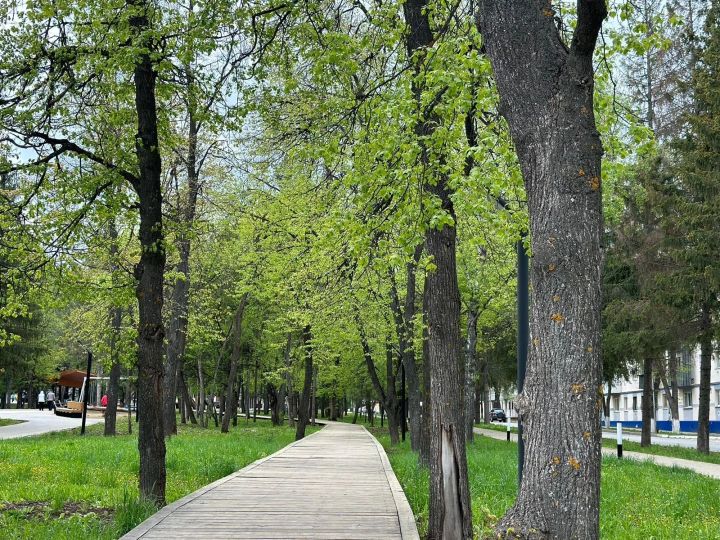 Прогноз погоды на 4 мая для лениногорцев