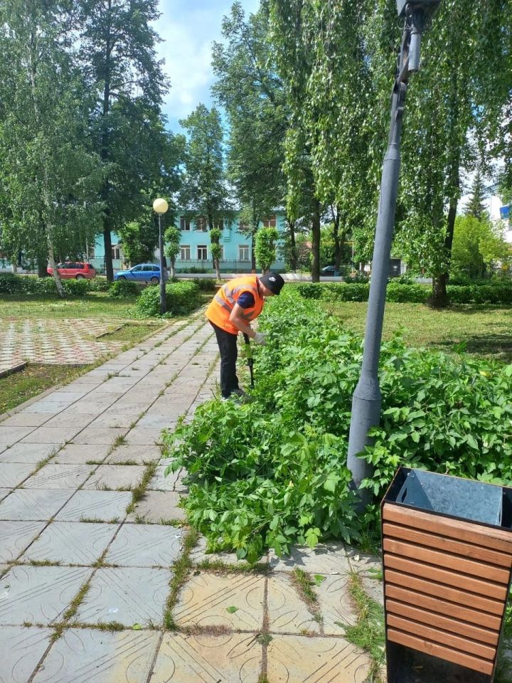 Жителей Лениногорска призывают беречь зелёные насаждения