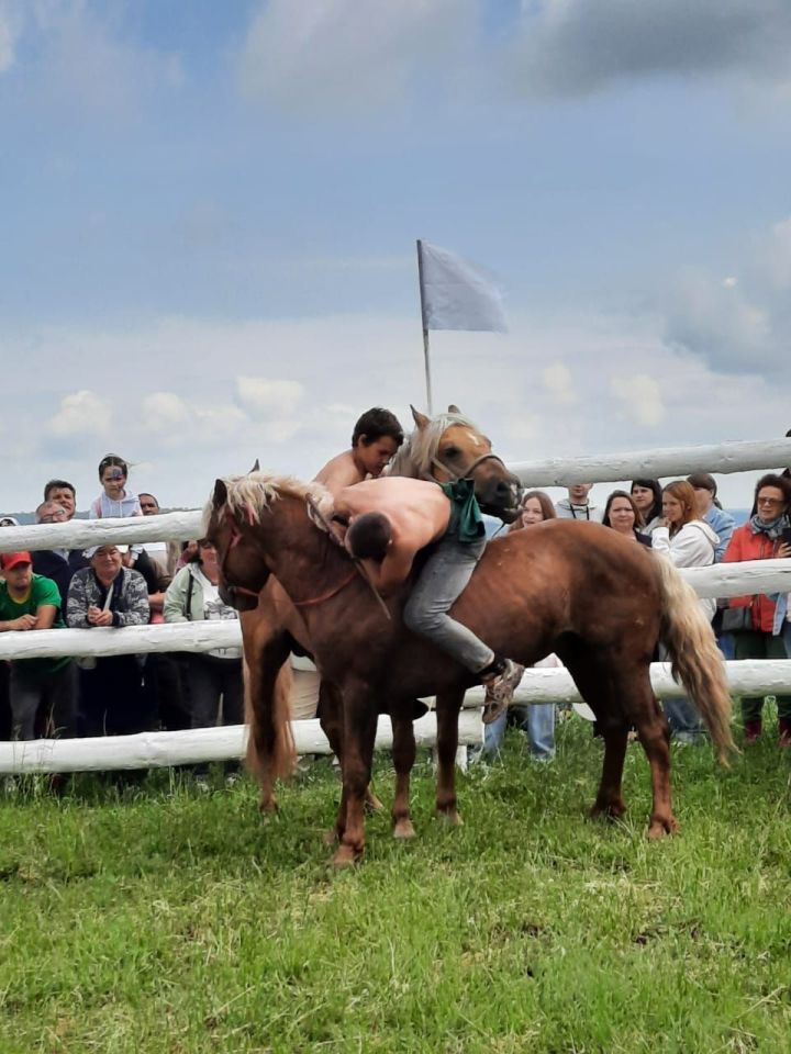 В Лениногорске на Сабантуе в соревнованиях по борьбе на лошадях -  Аударыш - определились победители