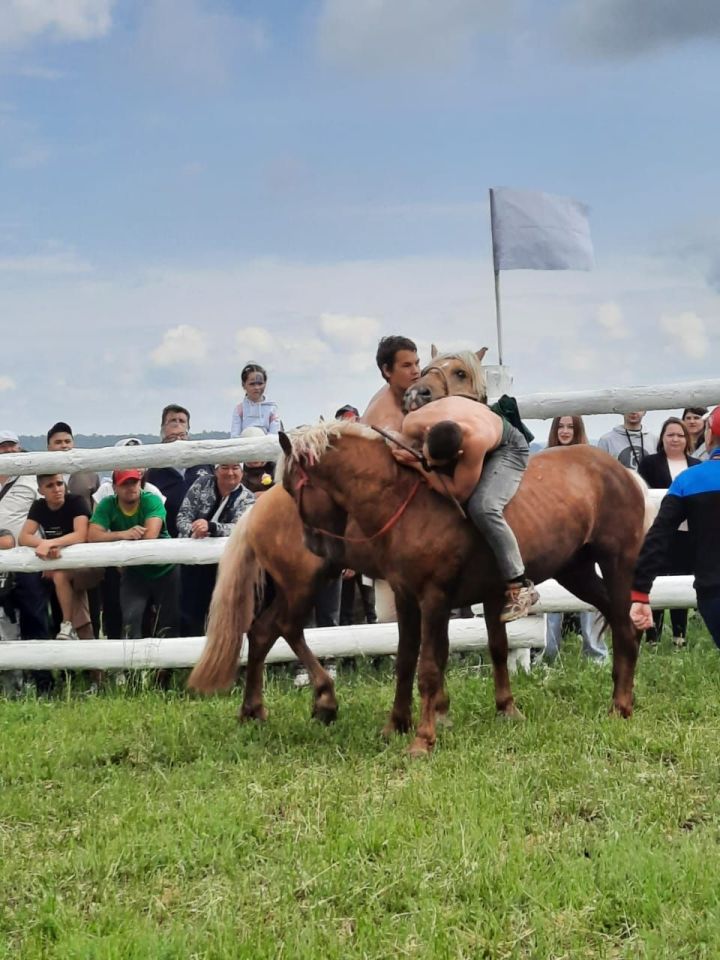 В Лениногорске на Сабантуе в соревнованиях по борьбе на лошадях -  Аударыш - определились победители