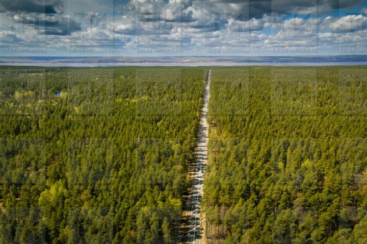 В Татарстане объявлено штормовое предупреждение из-за высокого риска лесных пожаров