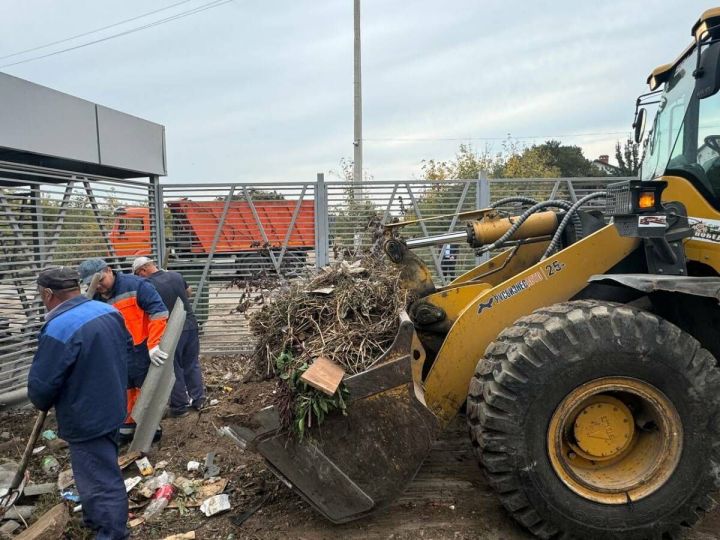 «Дачники выкидывают свои деньги»: как сэкономить на зеленых отходах и не платить штрафы