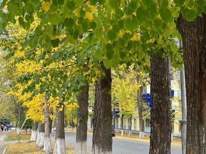 Прогноз погоды для лениногорцев на 26 сентября