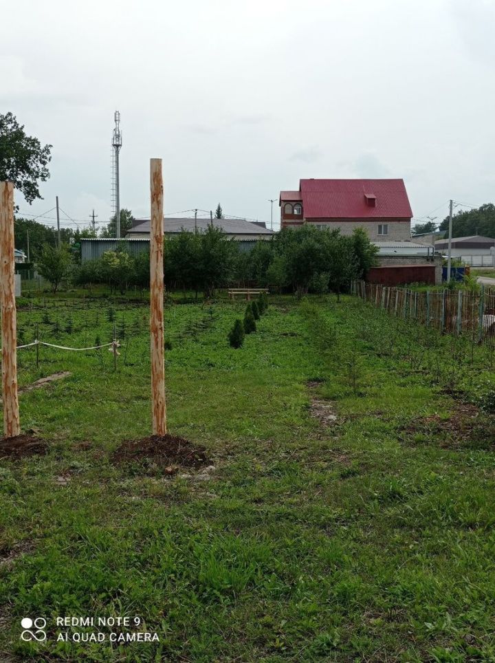 В школьном лесничестве «Дубки» Лениногорска начали создавать дендросад