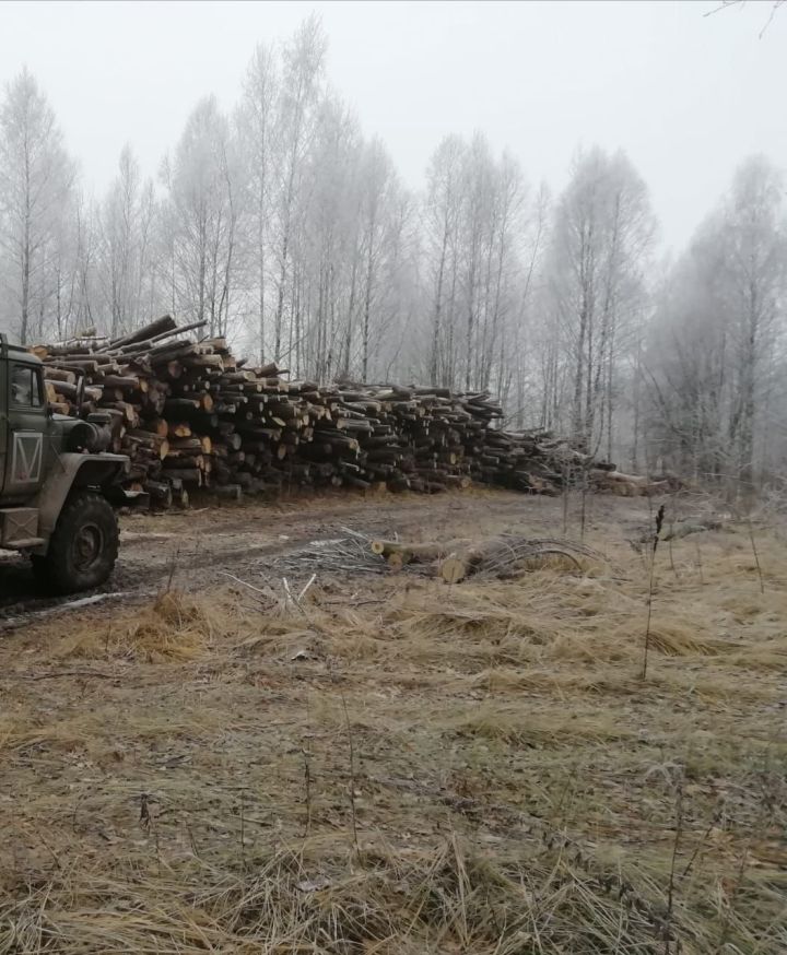 На СВО всё небо жужжит...