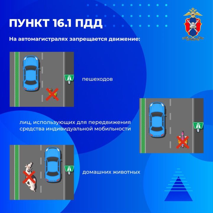 Как правильно двигаться по автомагистралям?