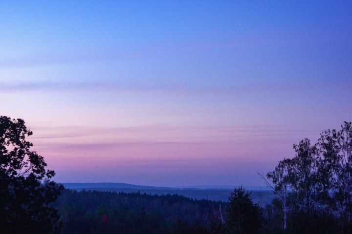 В Лениногорске подвели итоги конкурса среди школьников на лучшие фотографию и видеоролик