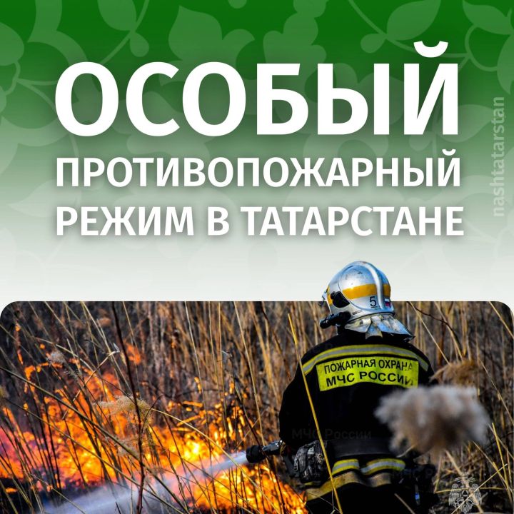 С 14 апреля по 11 мая в Татарстане введен противопожарный режим