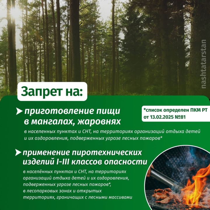 С 14 апреля по 11 мая в Татарстане введен противопожарный режим