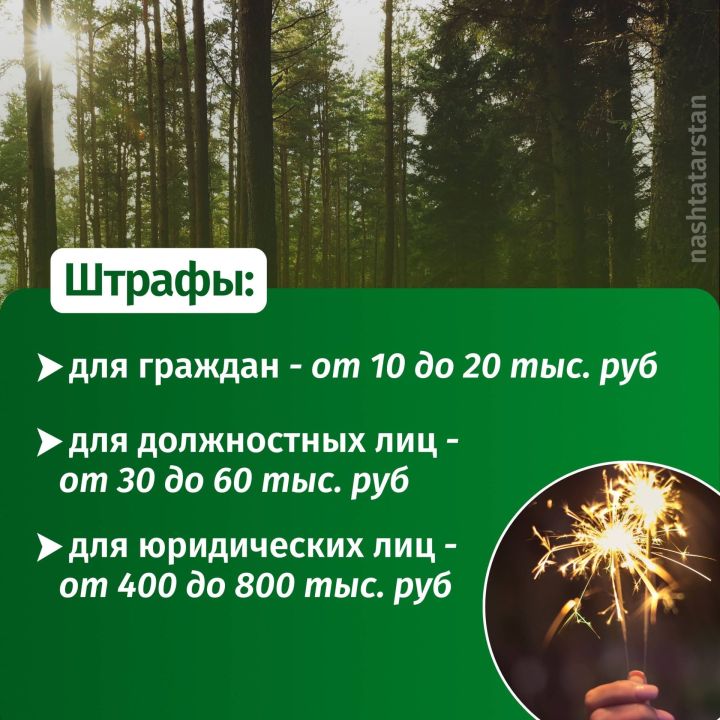 С 14 апреля по 11 мая в Татарстане введен противопожарный режим