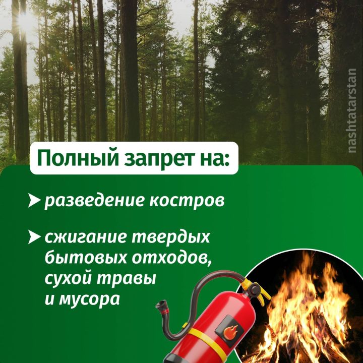 С 14 апреля по 11 мая в Татарстане введен противопожарный режим