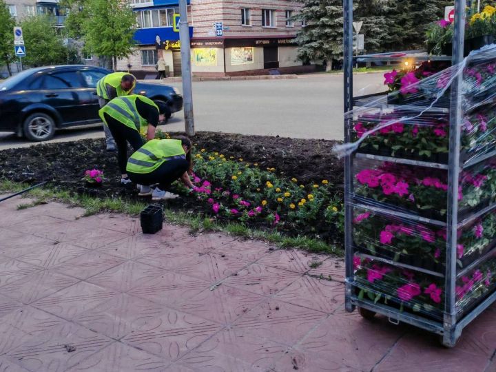 В Лениногорске проходит посадка цветов