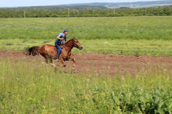 Конные скачки и аударыш стали эпицентром Сабантуя в Лениногорске
