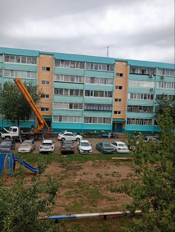 В Лениногорске замуровали заживо птиц при ремонтных работах