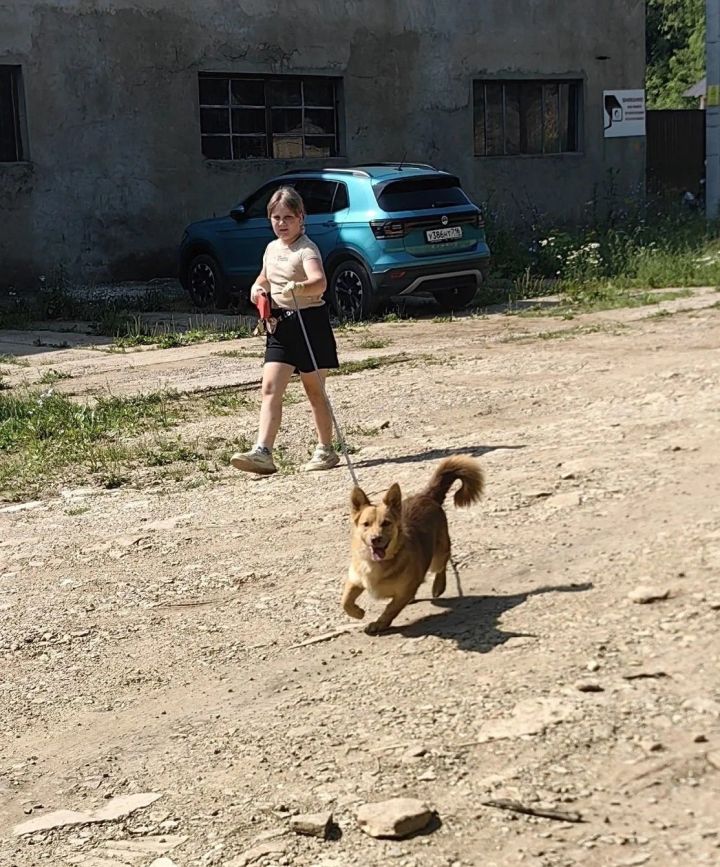 В Лениногорске в передержке для собак состоялся субботник