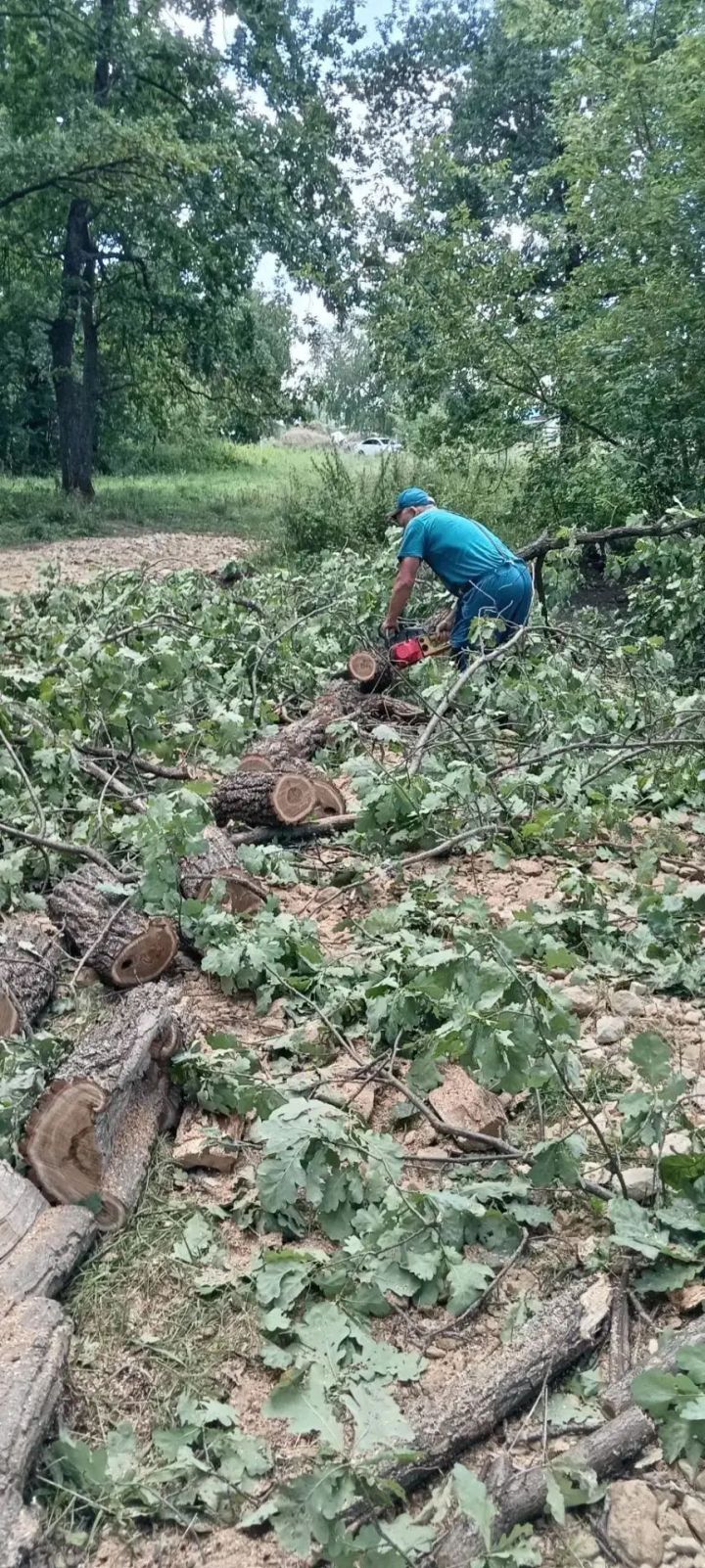 Жители деревни Аккуль Лениногорского района привели в порядок пострадавшее во время урагана кладбище