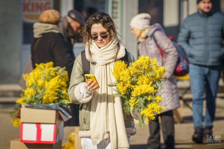 Жители РТ могут проголосовать за появление интернета в своем поселении